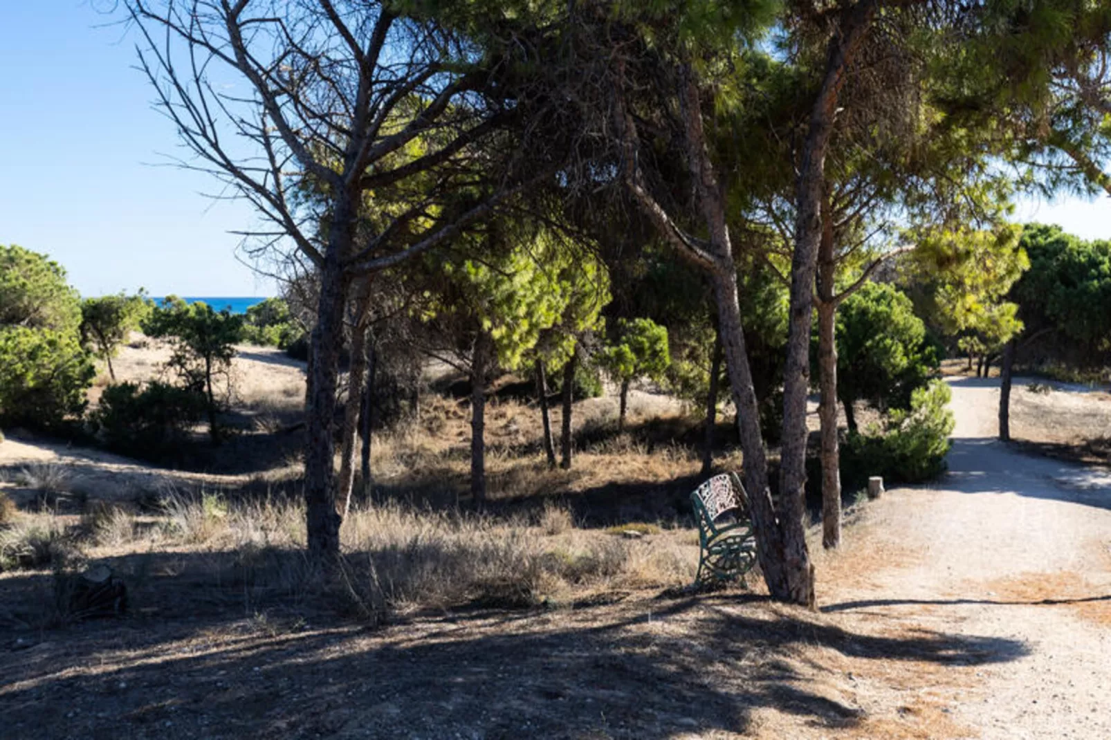 Mobil Home - Bungalow - Cottage à Guardamar del Segura-Nicht zugeordnet