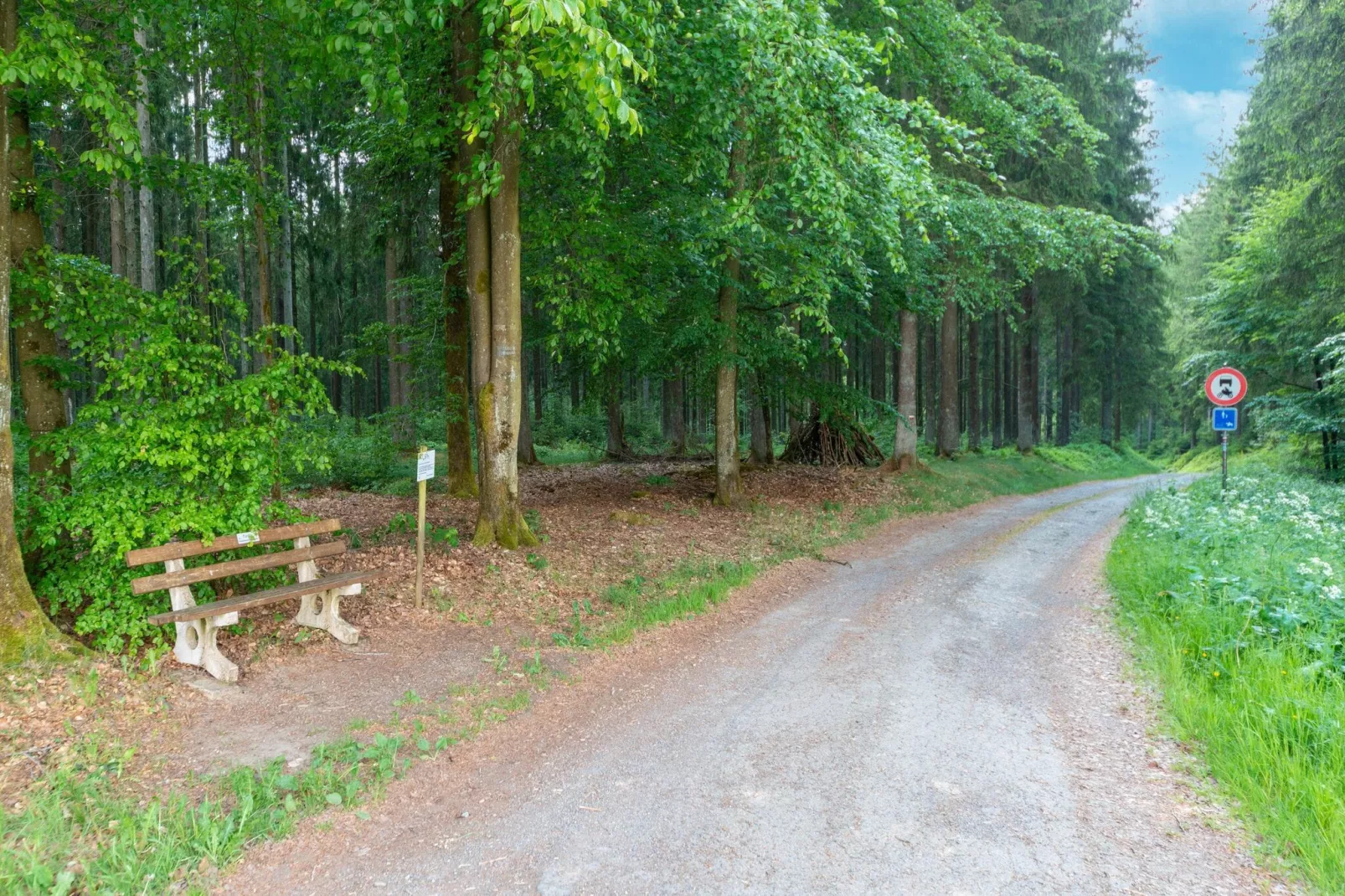 Orée du Bois-Areas summer 5km