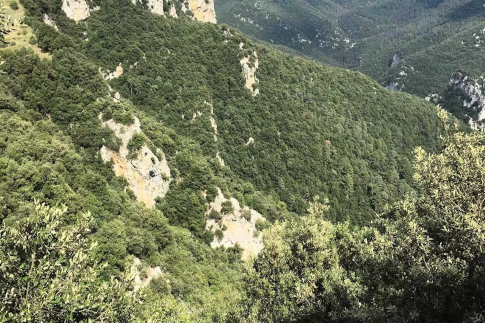 Appartements à Montagut i Oix-Nicht zugeordnet