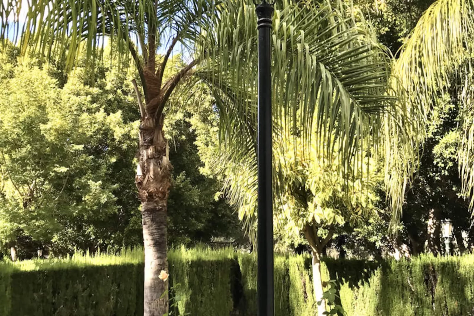 Appartements à Marbella-Non tagué