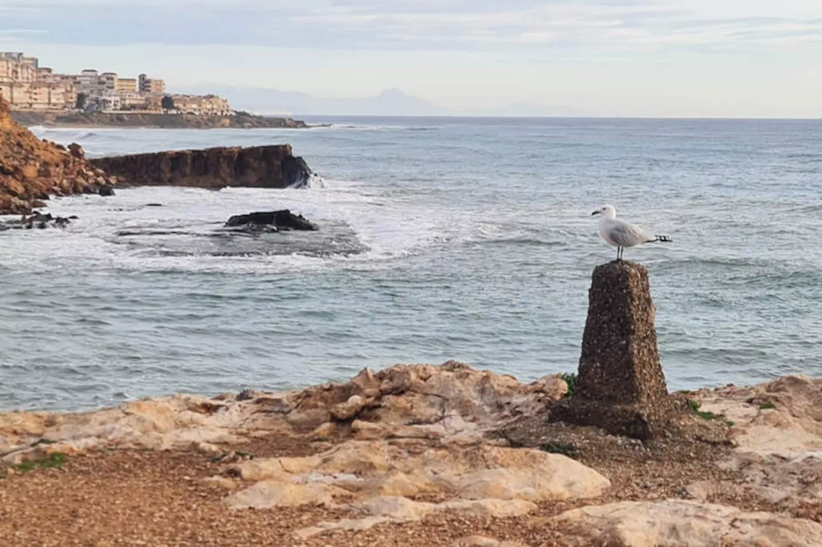 Maison à Torrevieja-Untagged