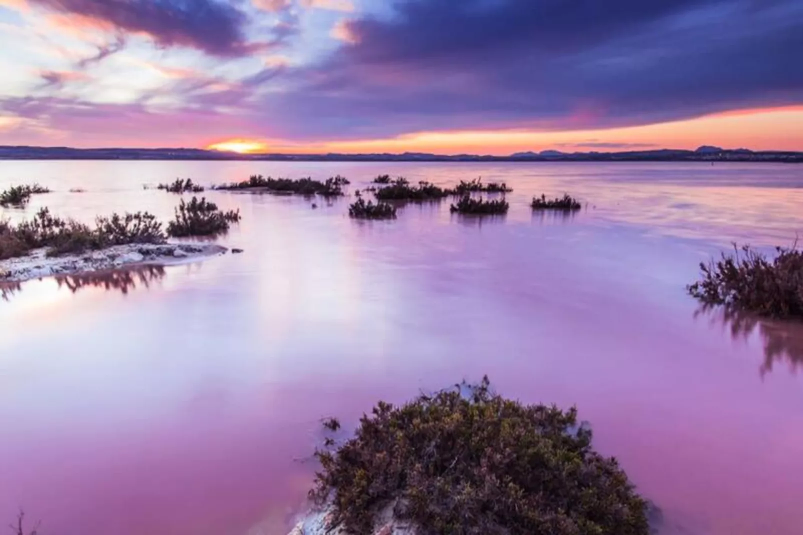 Magnifique Villa Avec Piscine Priv&eacute;e - Golf Vistabella-Untagged