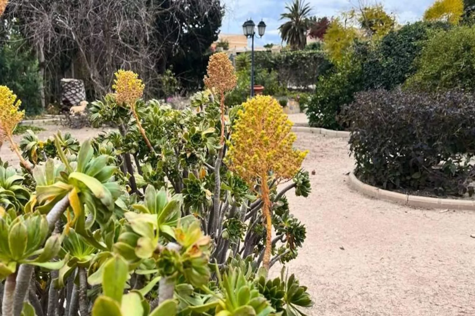 Authentique Finca Espagnole Avec Piscine Priv&eacute;e Et Jardin-Non tagué