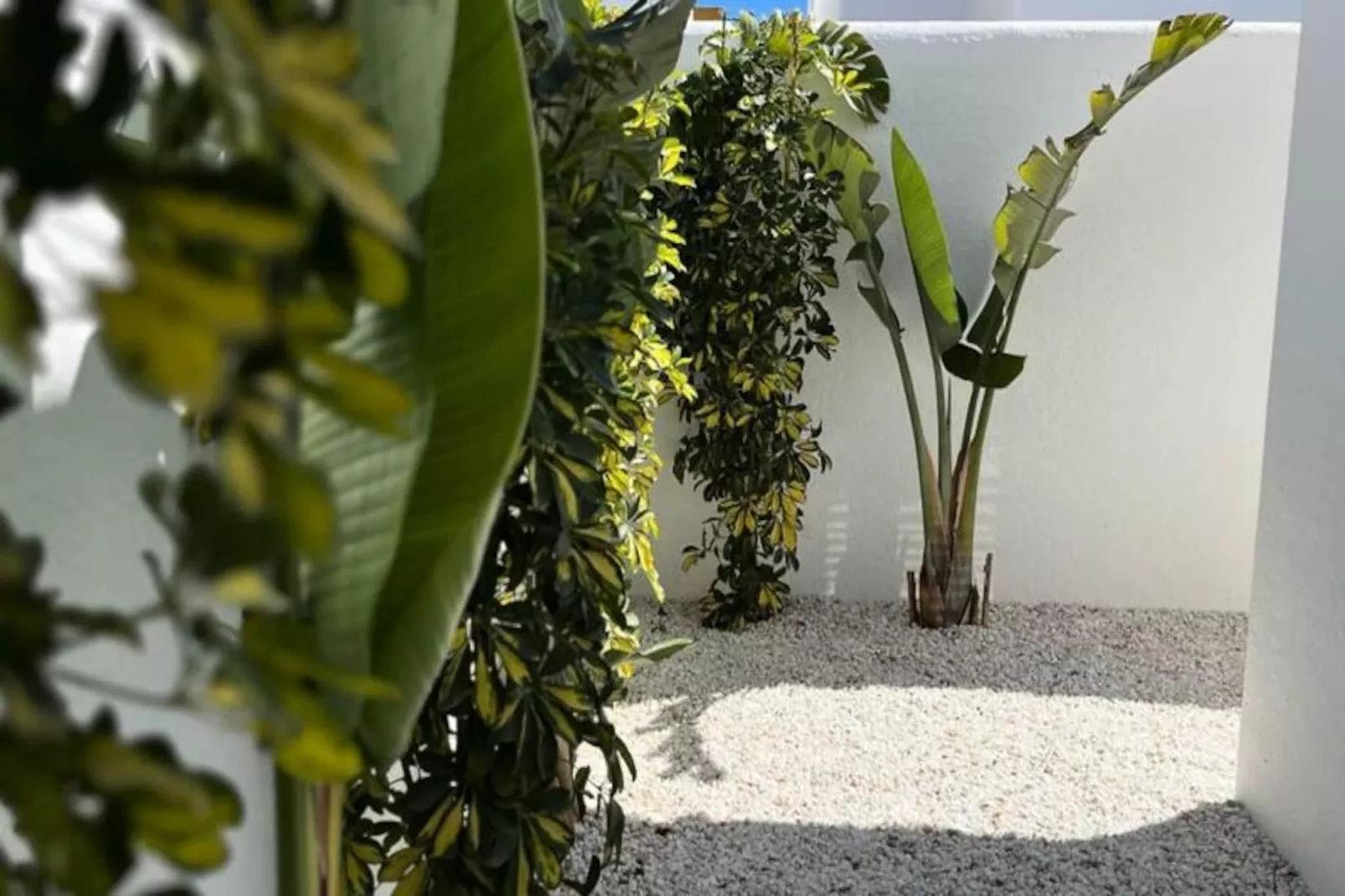 Villa Avec Piscine Priv&eacute;e  &agrave; San Fulgencio-Non tagué