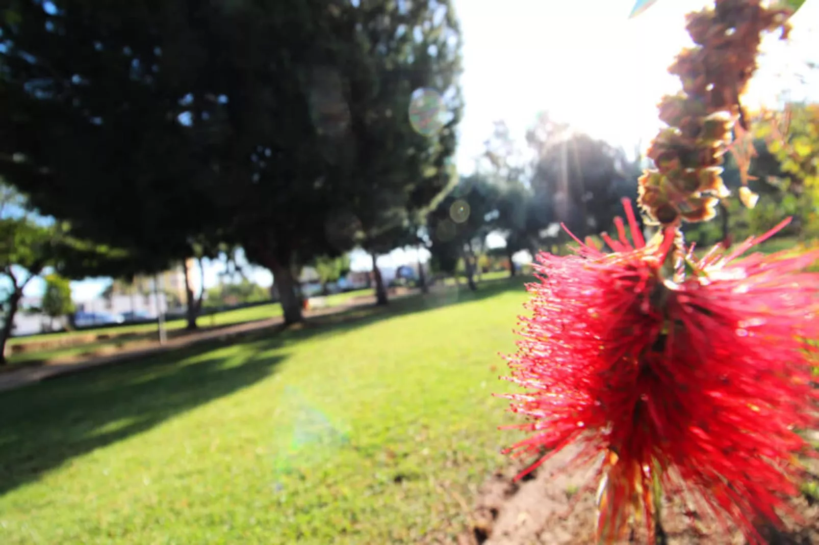 Appartements à Canet d'En Berenguer-Nicht zugeordnet