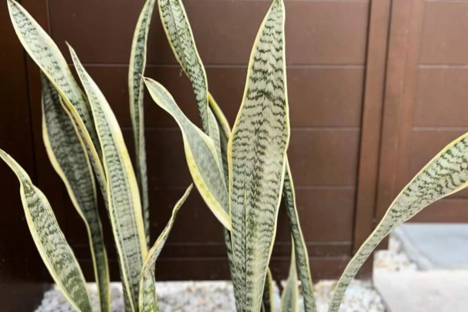 Villa Avec Piscine Priv&eacute;e  &agrave; San Fulgencio-Non tagué