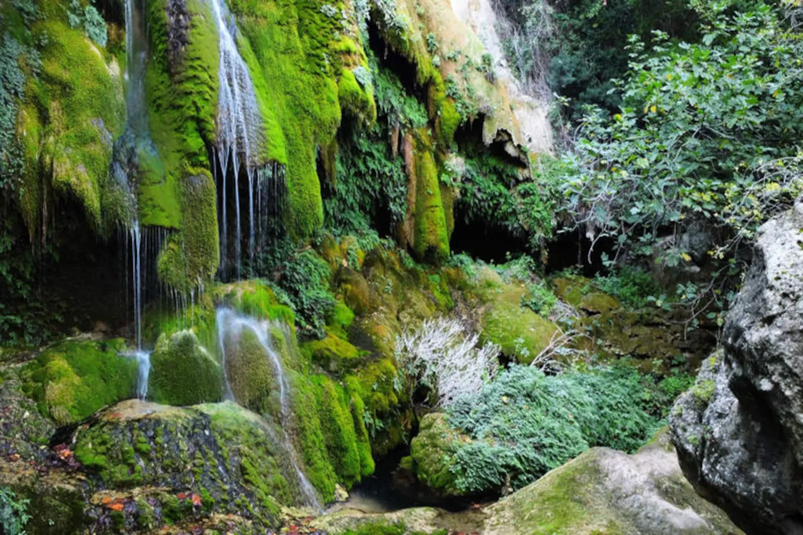 Mobil Home - Bungalow - Cottage à Boadella i les Escaules-Untagged