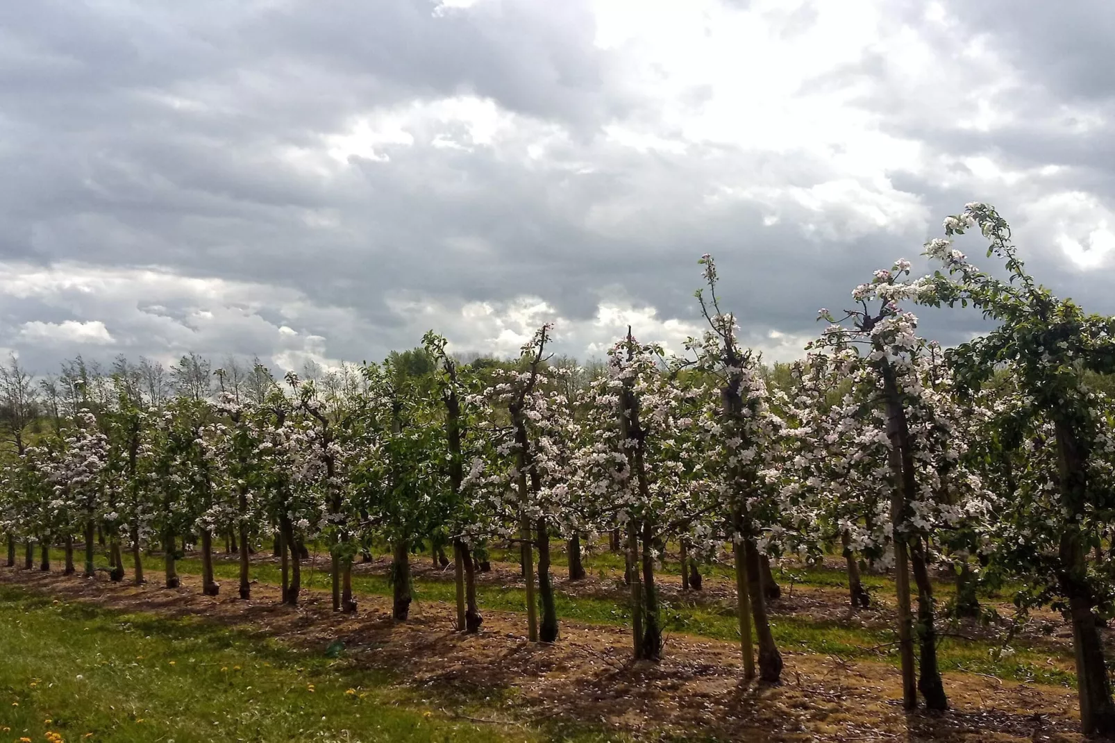 8 Personen Ferienhaus in Brenderup Fyn-By Traum-Nicht zugeordnet