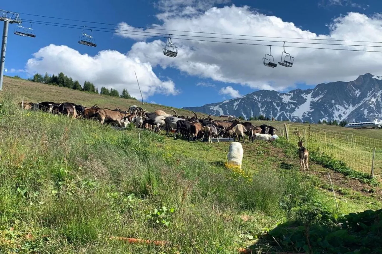 Chalets Les Amis 5-Areas within 20km in summer