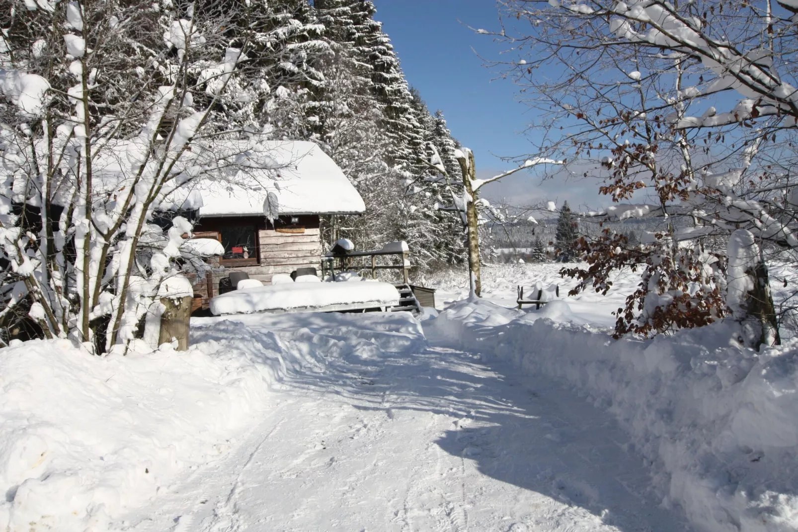 La Cabane-Exterior winter