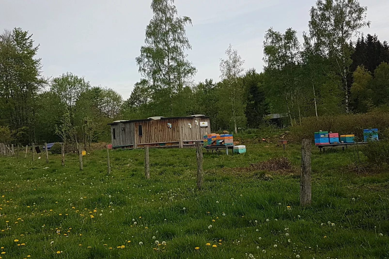 La Cabane-Areas summer 1km