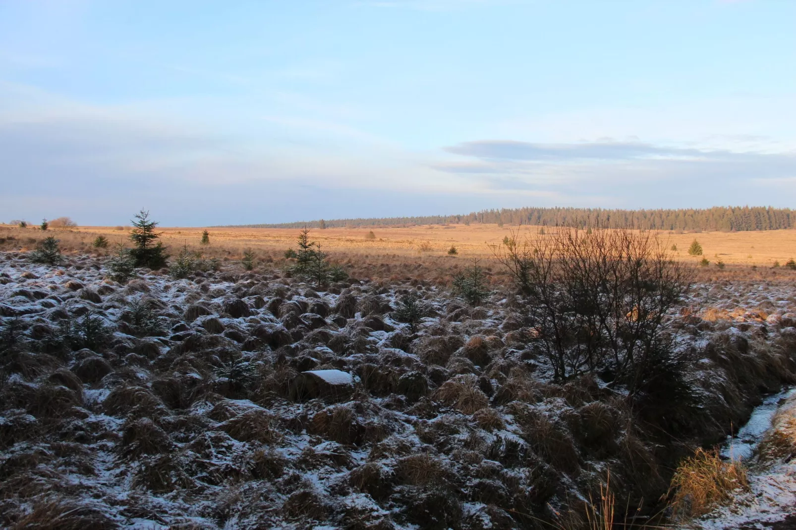 La Cabane-Area winter 1km