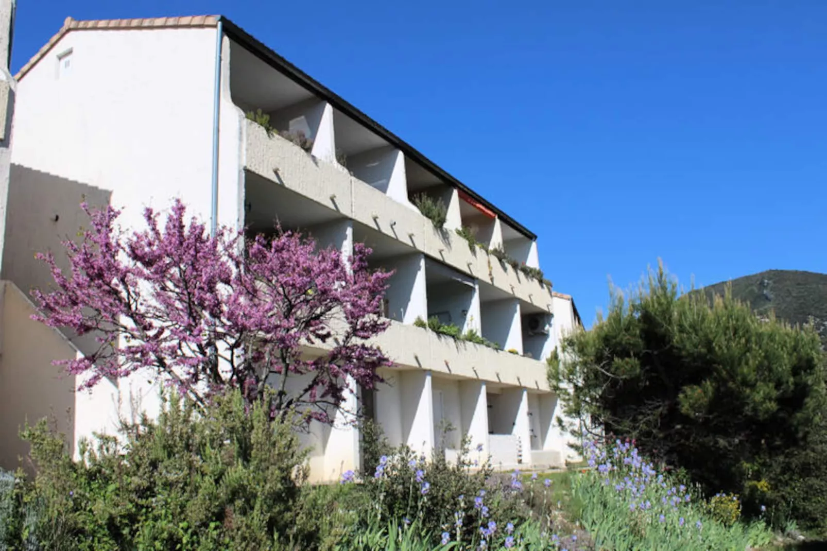 Studio à Mollans sur Ouvèze