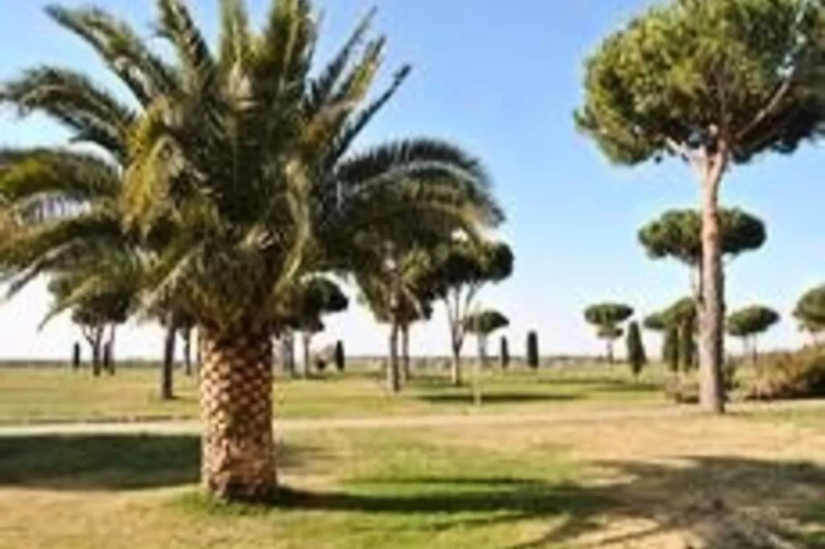 Résidence Les Caraibes