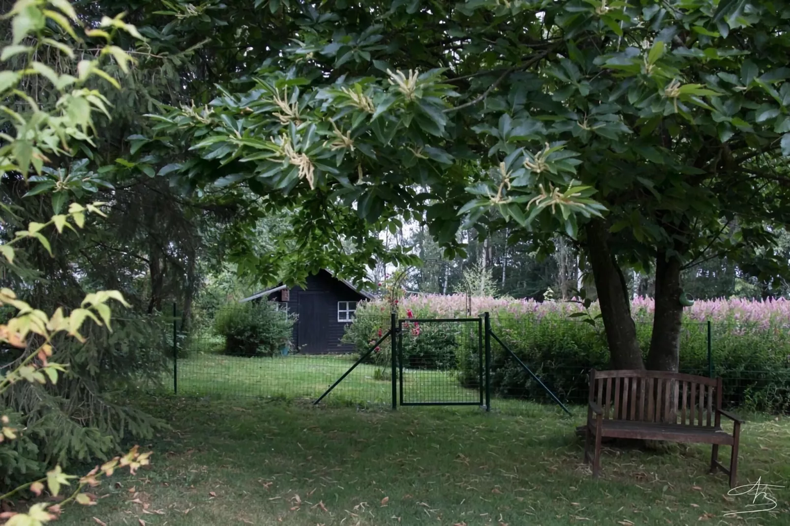 La Pierraille-Jardin d'été