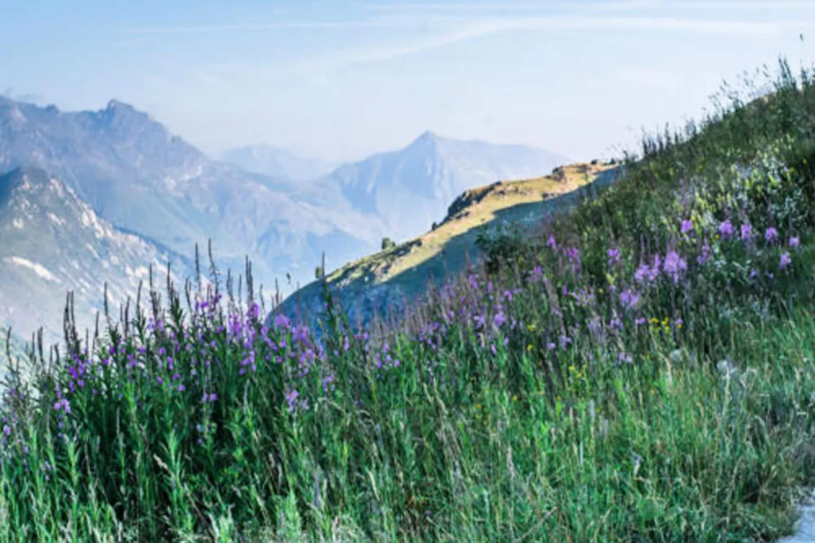 Résidence Le Bettex