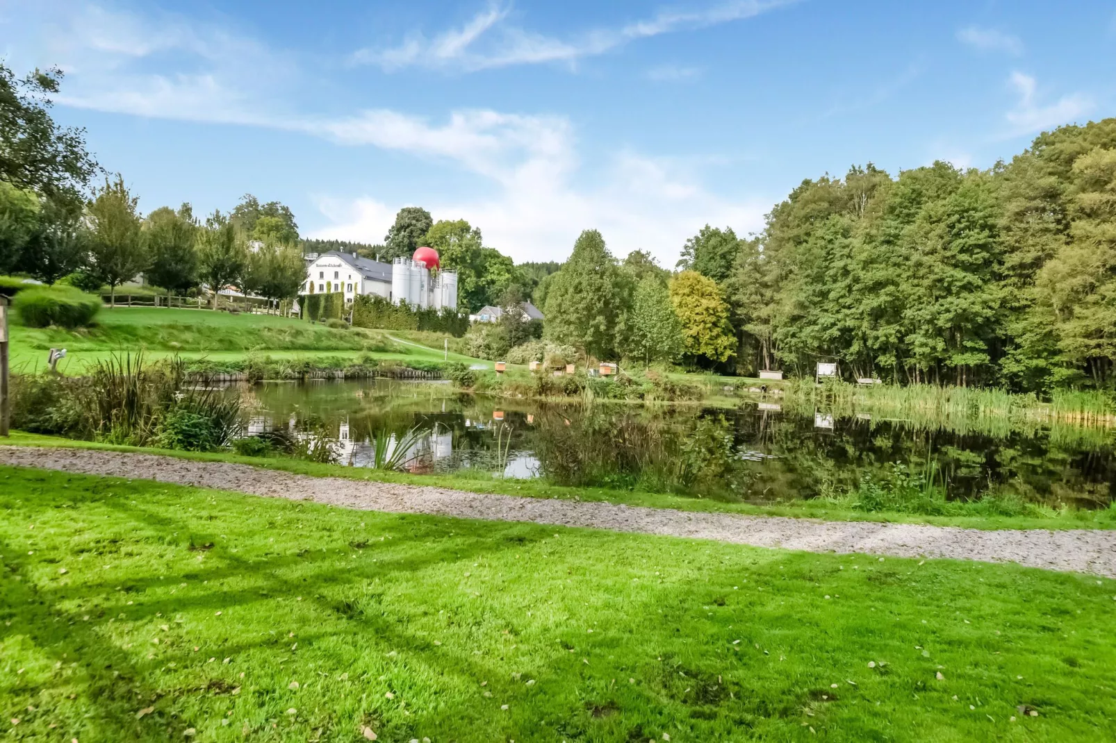 Petit Wilogne-Areas summer 5km