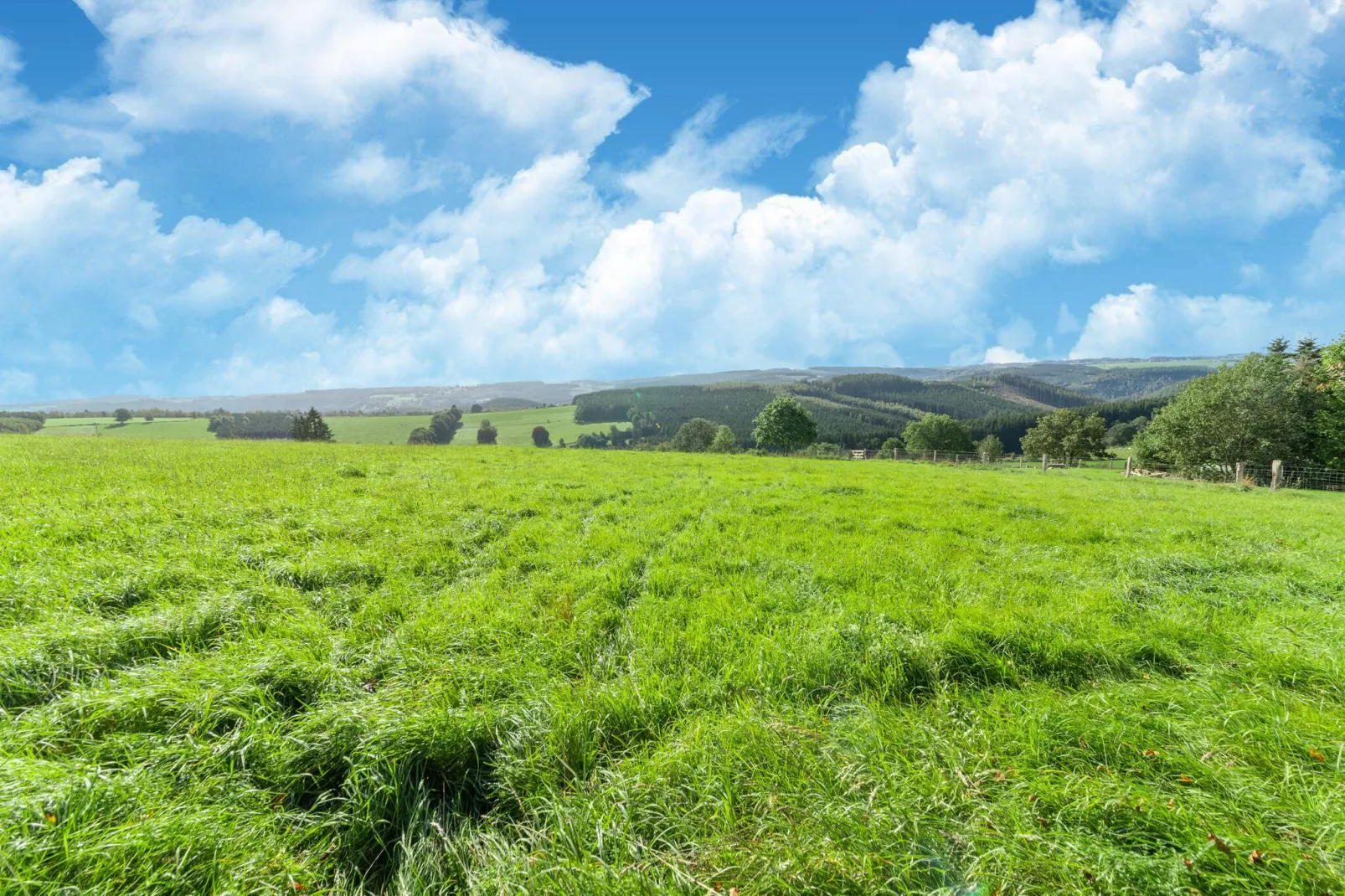 Le sommet de Mont-Gebiete Sommer 5 km