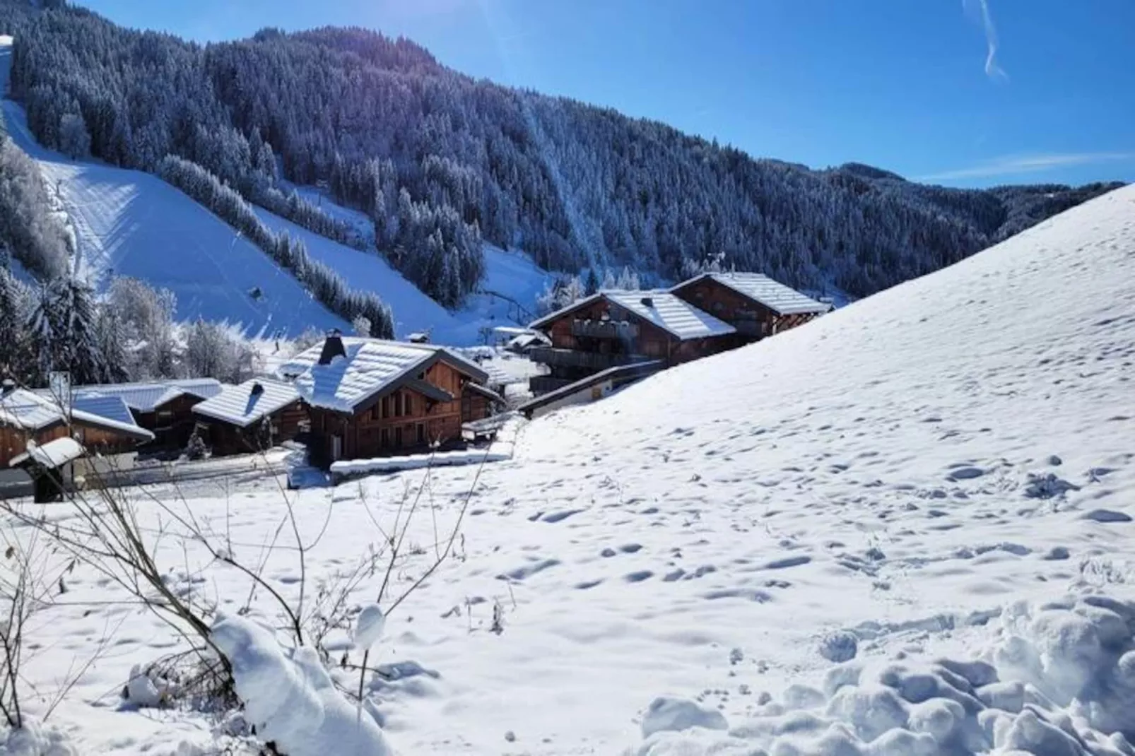 Chalet Les Perrieres