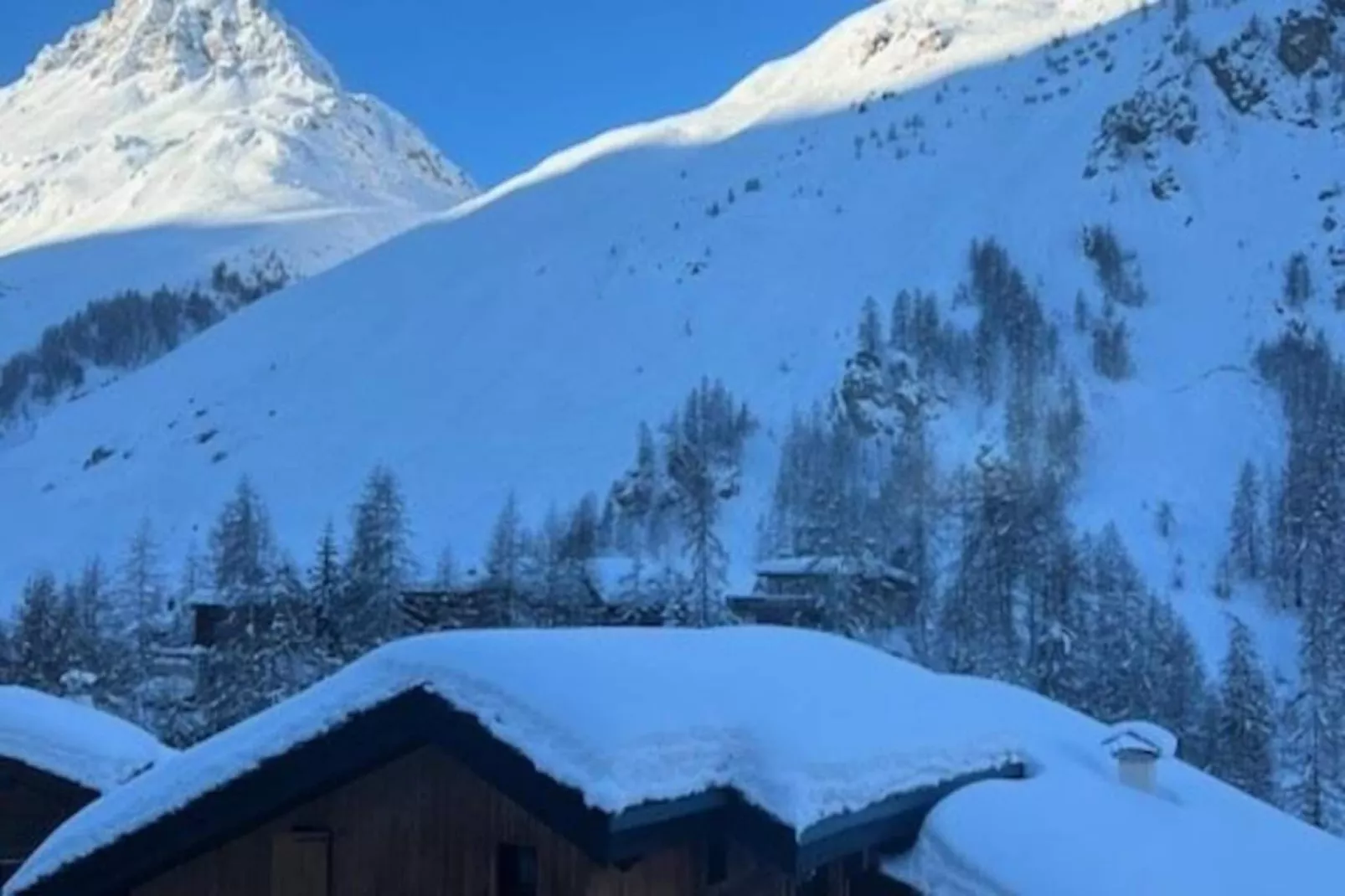 Chalet Du Jardin Alpin Ii