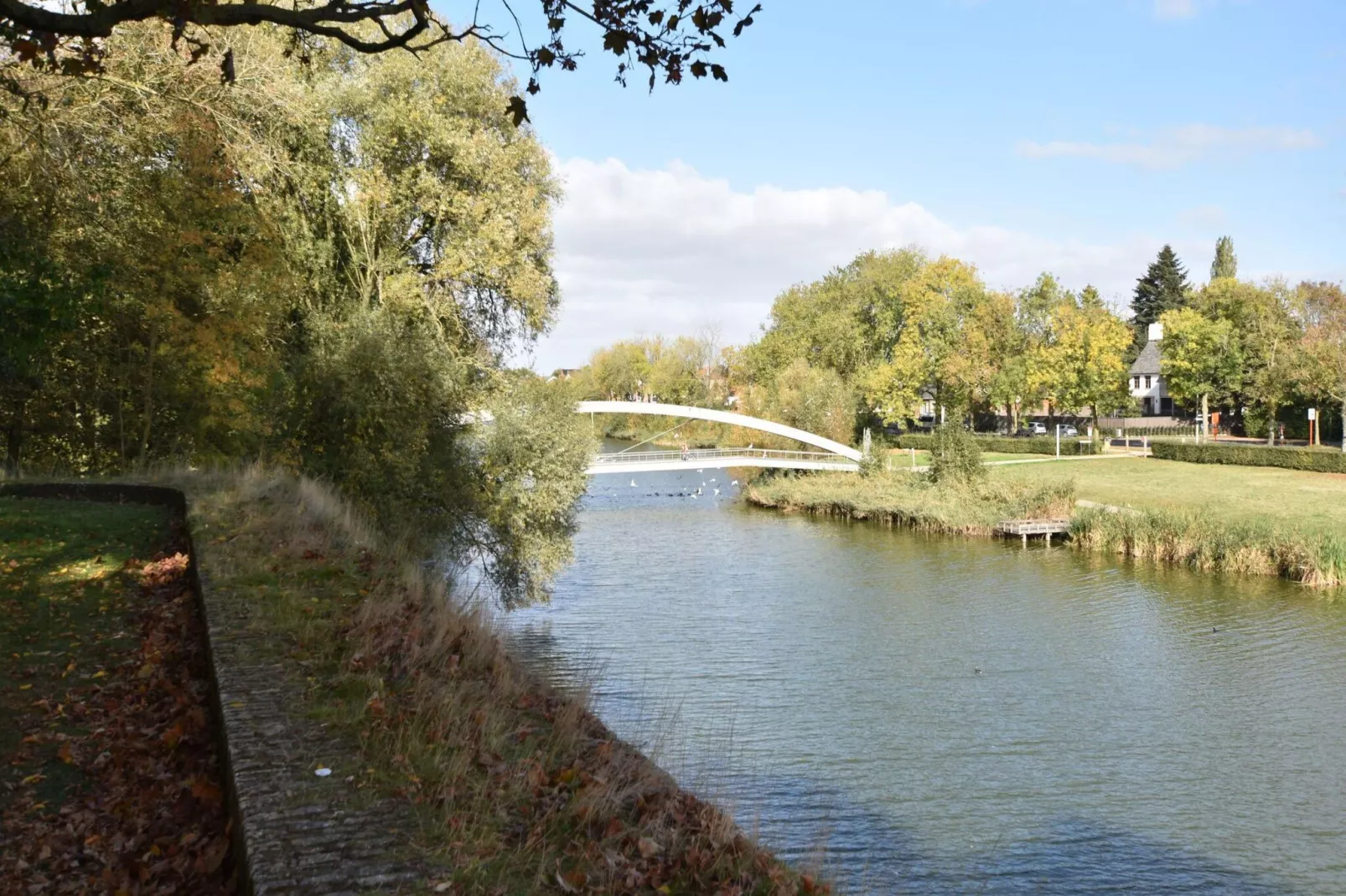 Hommelhove-Areas summer 1km