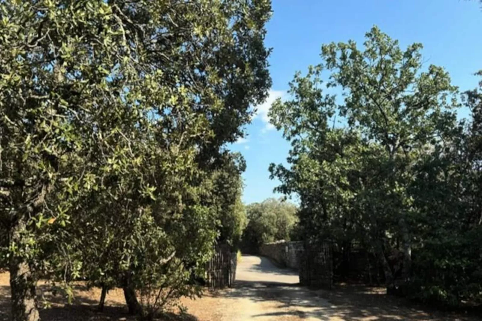 "les Campanettes" : Superbe Mas En Provence