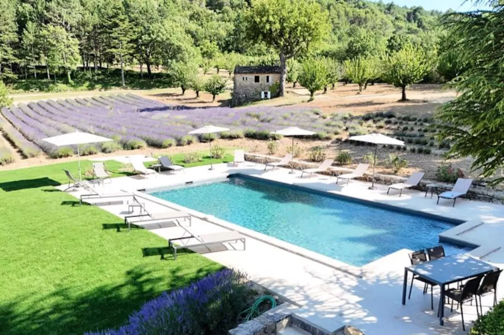 Bastide De L'esclat - Piscine - Champs De Lavandes