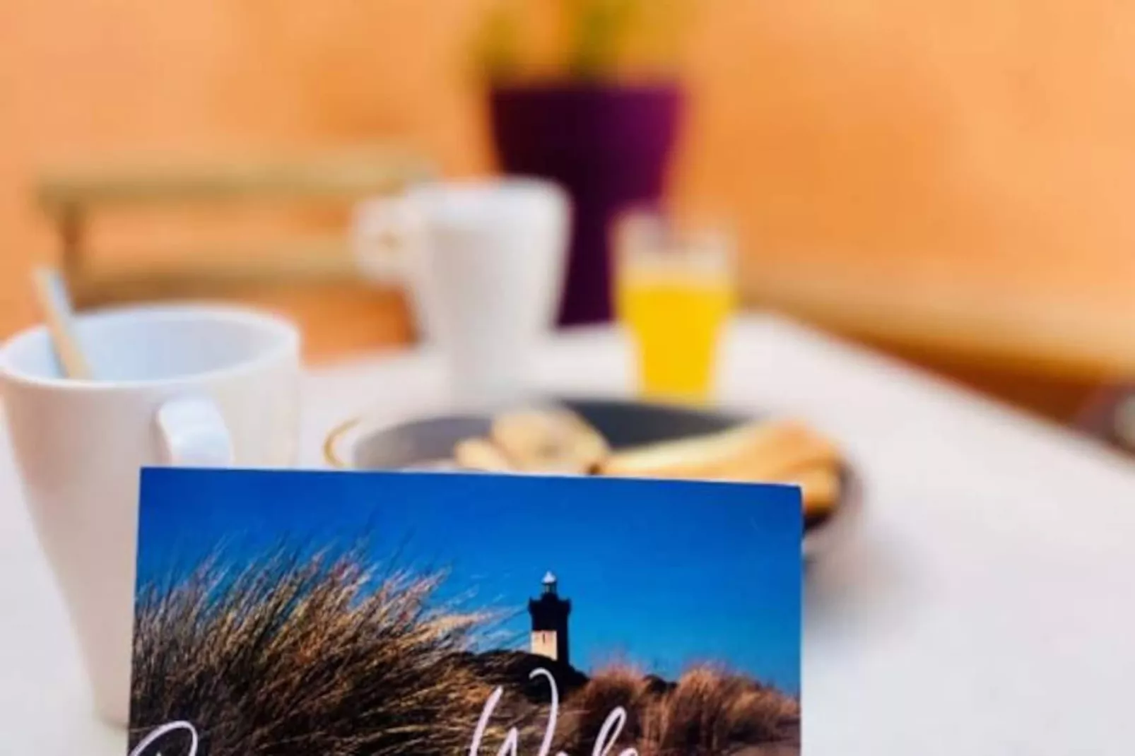 Résidence L'aurore - Studio Terrasse &agrave; La Mer