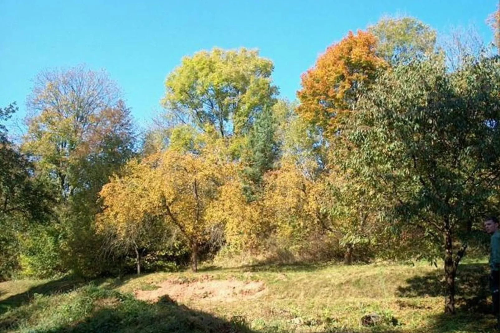 Hoeve Stupna-Areas summer 5km