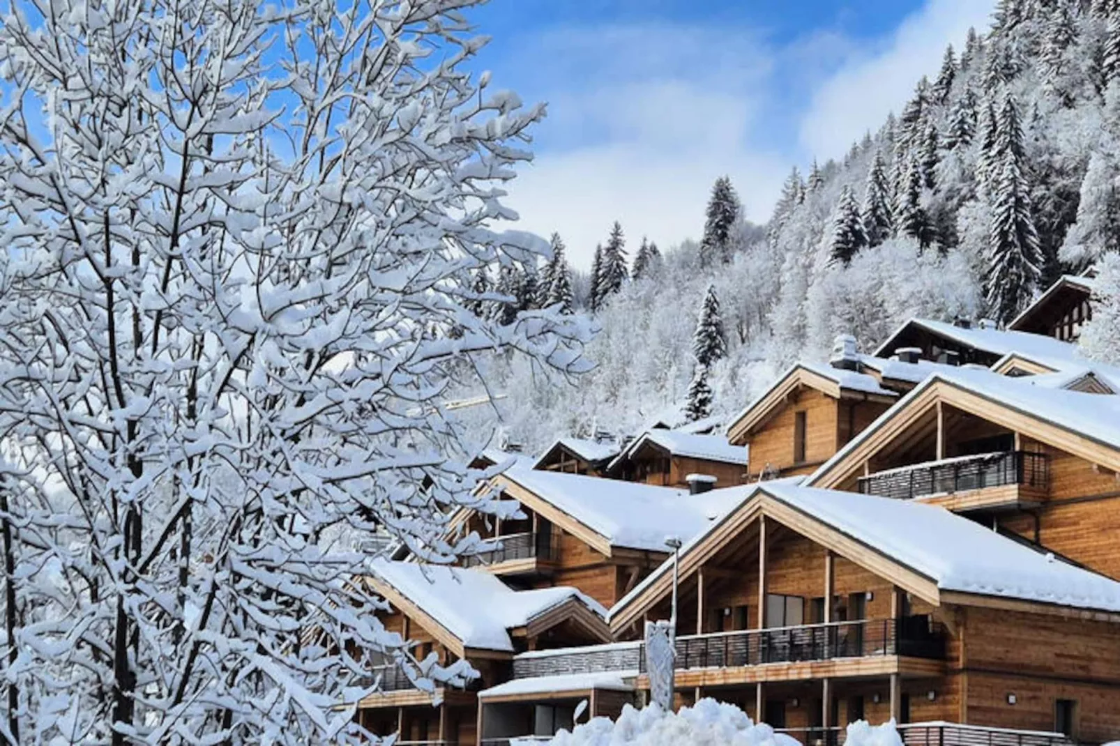 Appartements à Les Gets