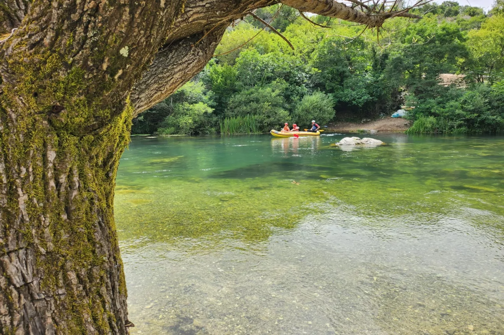 Villa Popovića Dvori -  Six Bedroom Villa with Pool