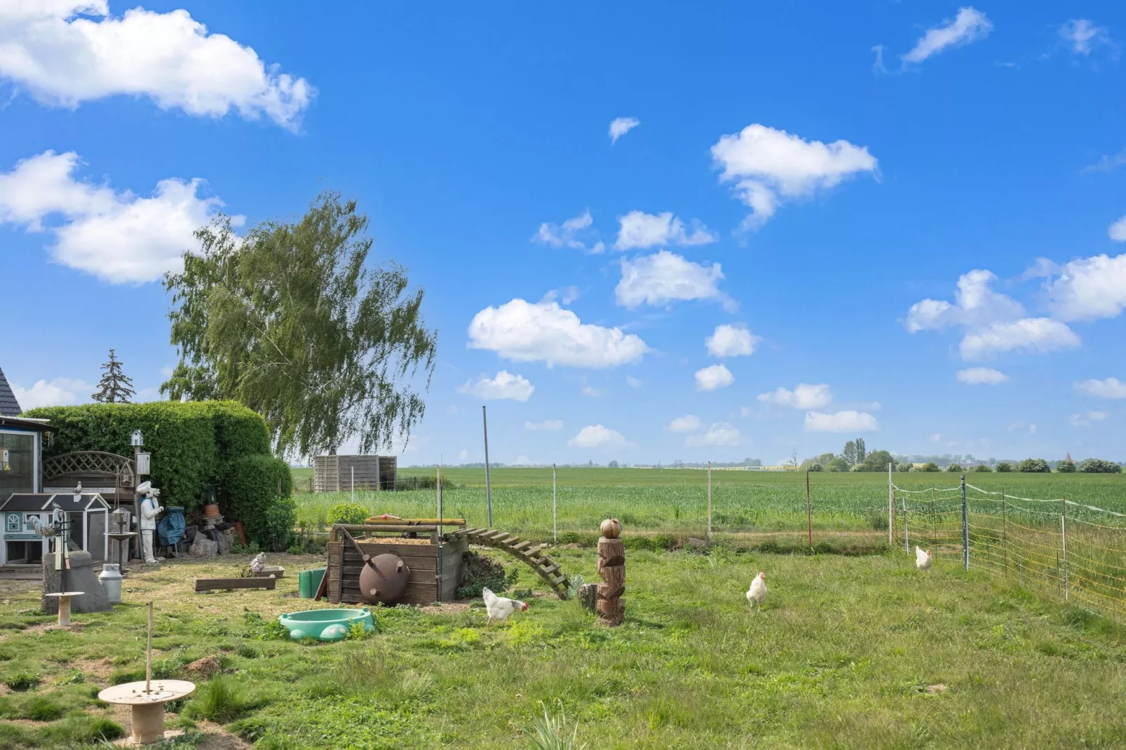 Poeler Damm Blick-Gardens summer