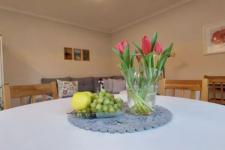 Ostseeurlaub Zur Steinbäck mit Terrasse-Living room