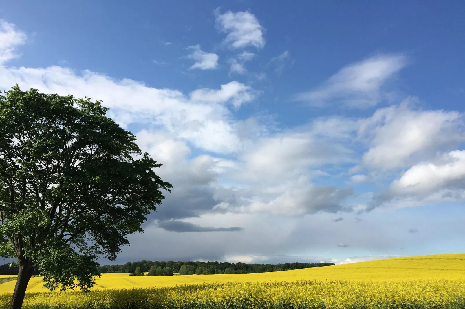 Familienurlaub in der Natur-Gebiete Sommer 1 km