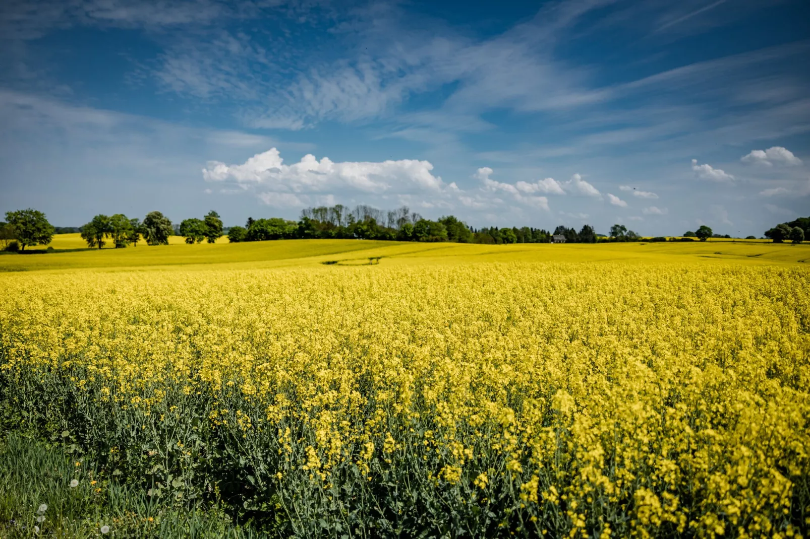 Familienurlaub in der Natur-Gebiete Sommer 5 km