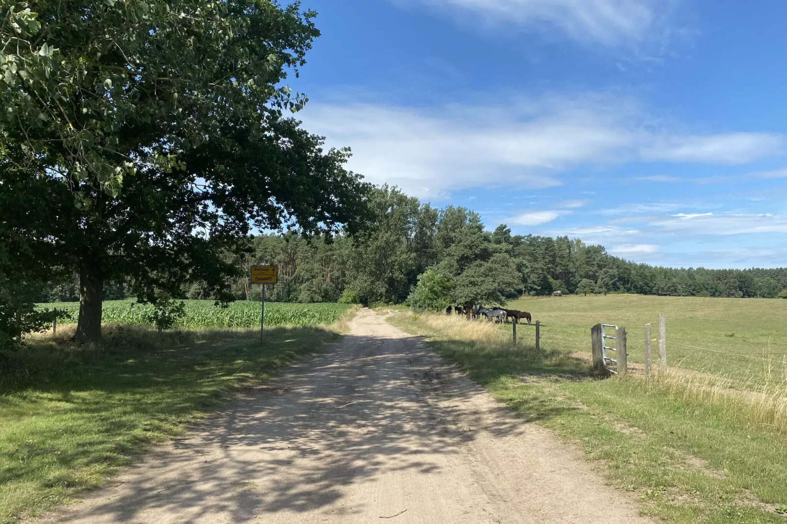 Familienurlaub in der Natur-Gebiete Sommer 1 km