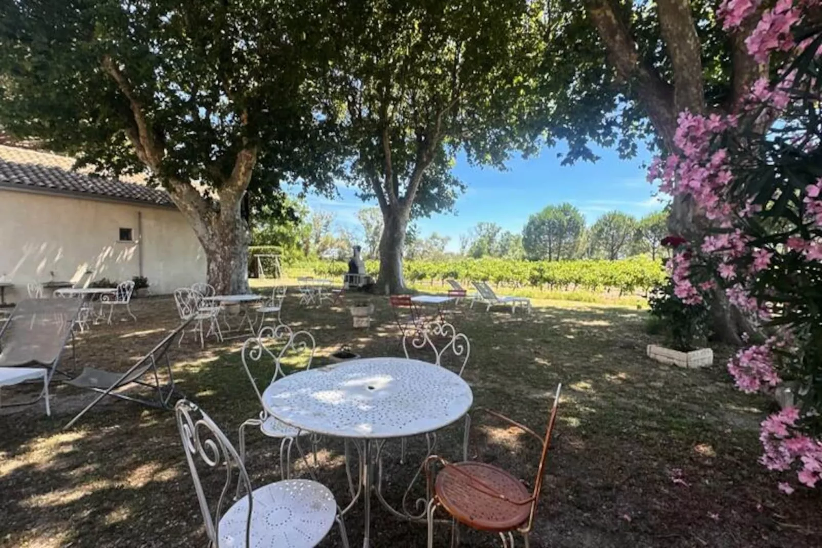 Résidence G&icirc;te De La Cave - Charmant G&icirc;te Proven&ccedil;al Avec Une Chambre