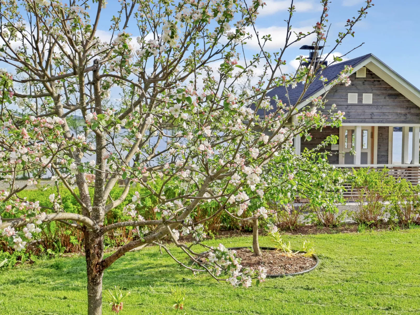 Villa paasirinne a-Dedans