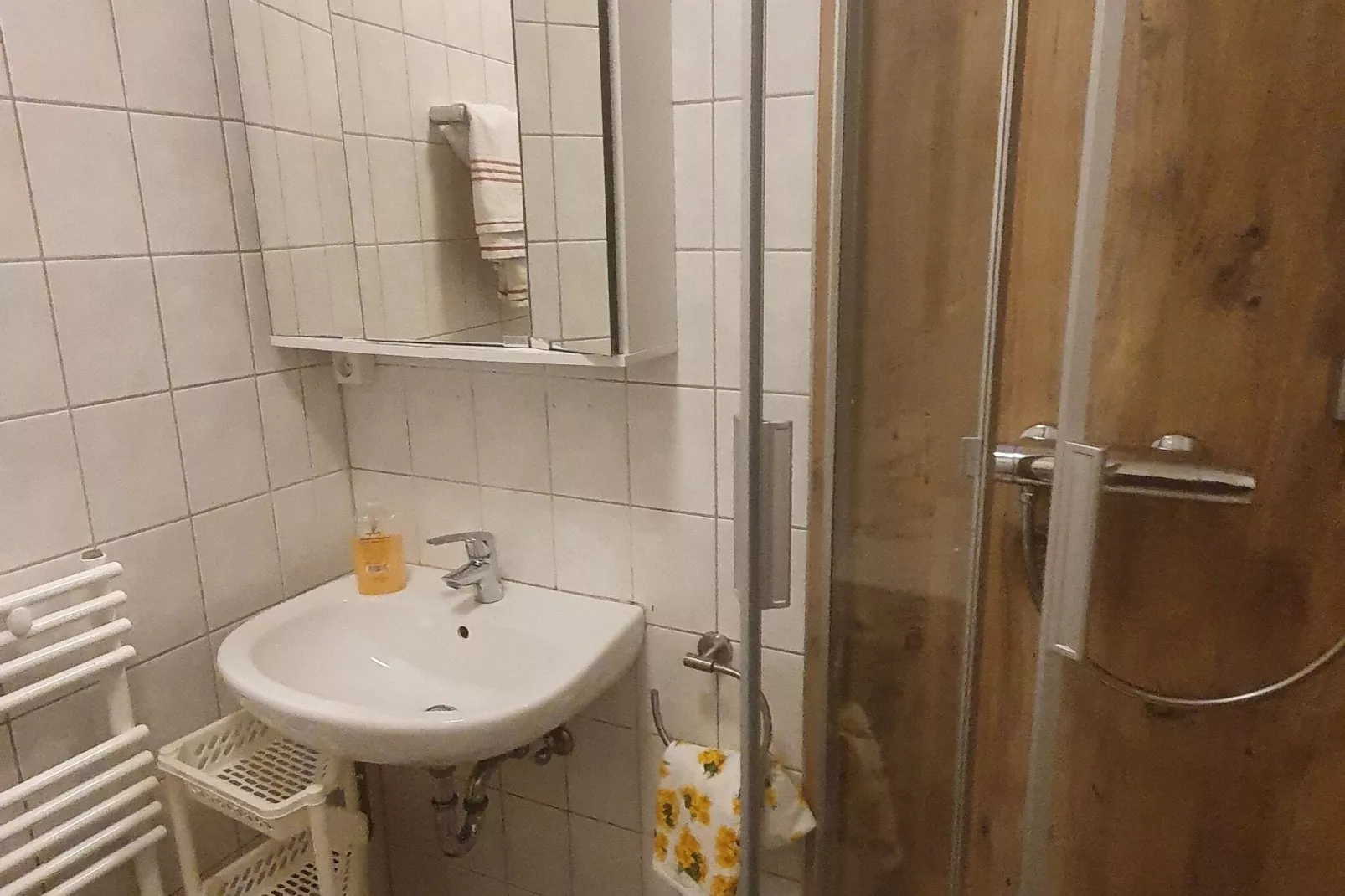 Ferienwohnung Gisela-Bathroom