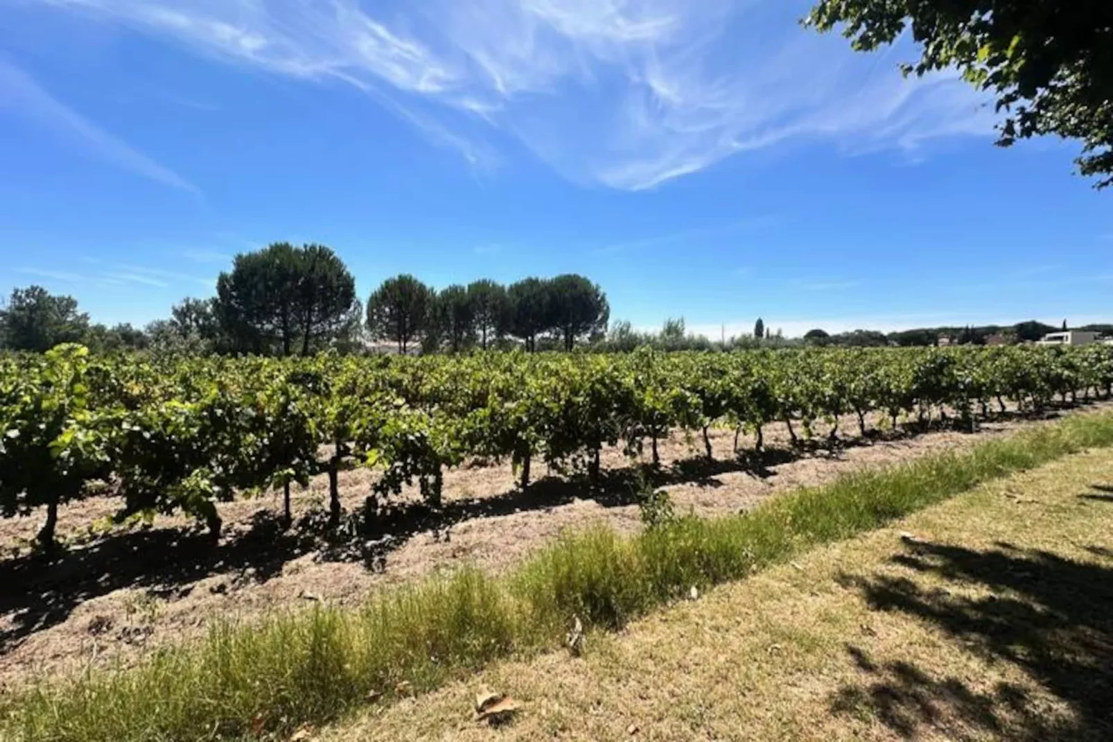 Résidence G&icirc;te De La Cave - Charmant G&icirc;te Proven&ccedil;al Avec Une Chambre-Untagged