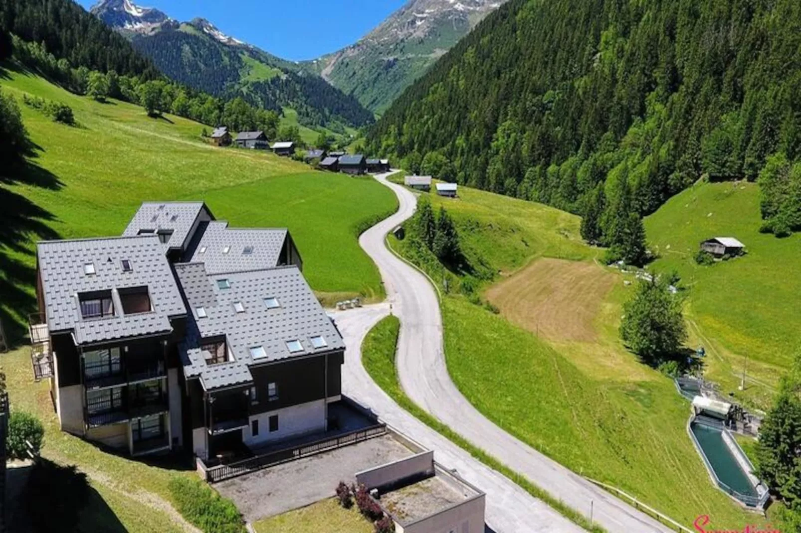 Résidence Primevere-argentine - Untagged