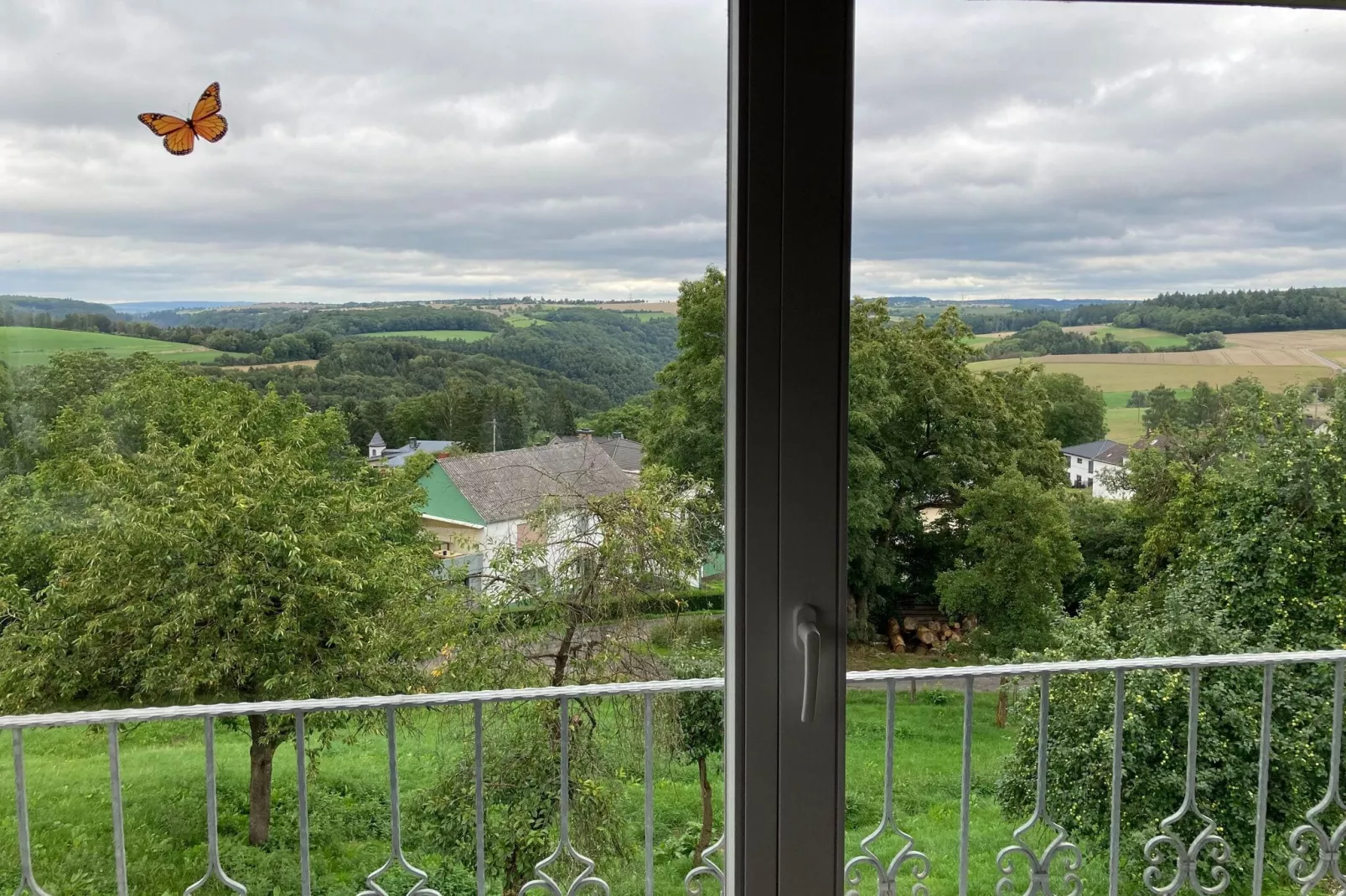 Scheune zur Schönen Aussicht-View summer