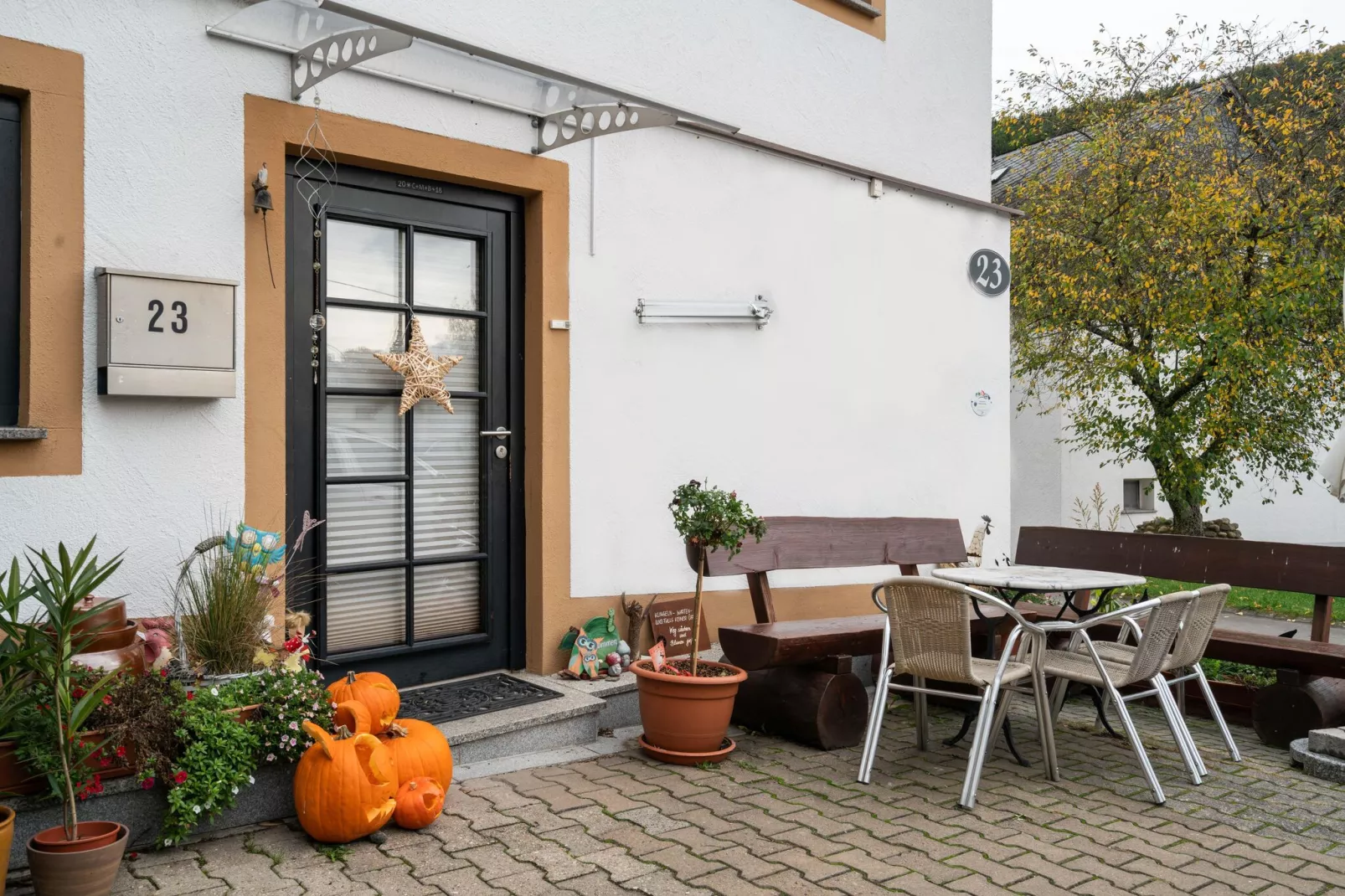 Blume-Exterior summer