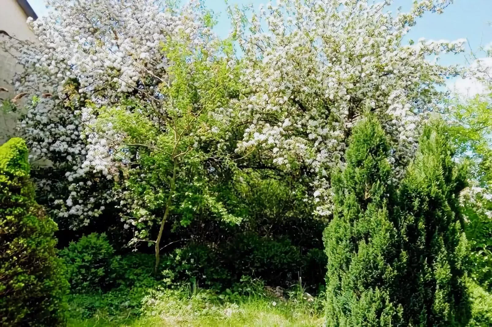Ferienhaus Karl-Gardens summer