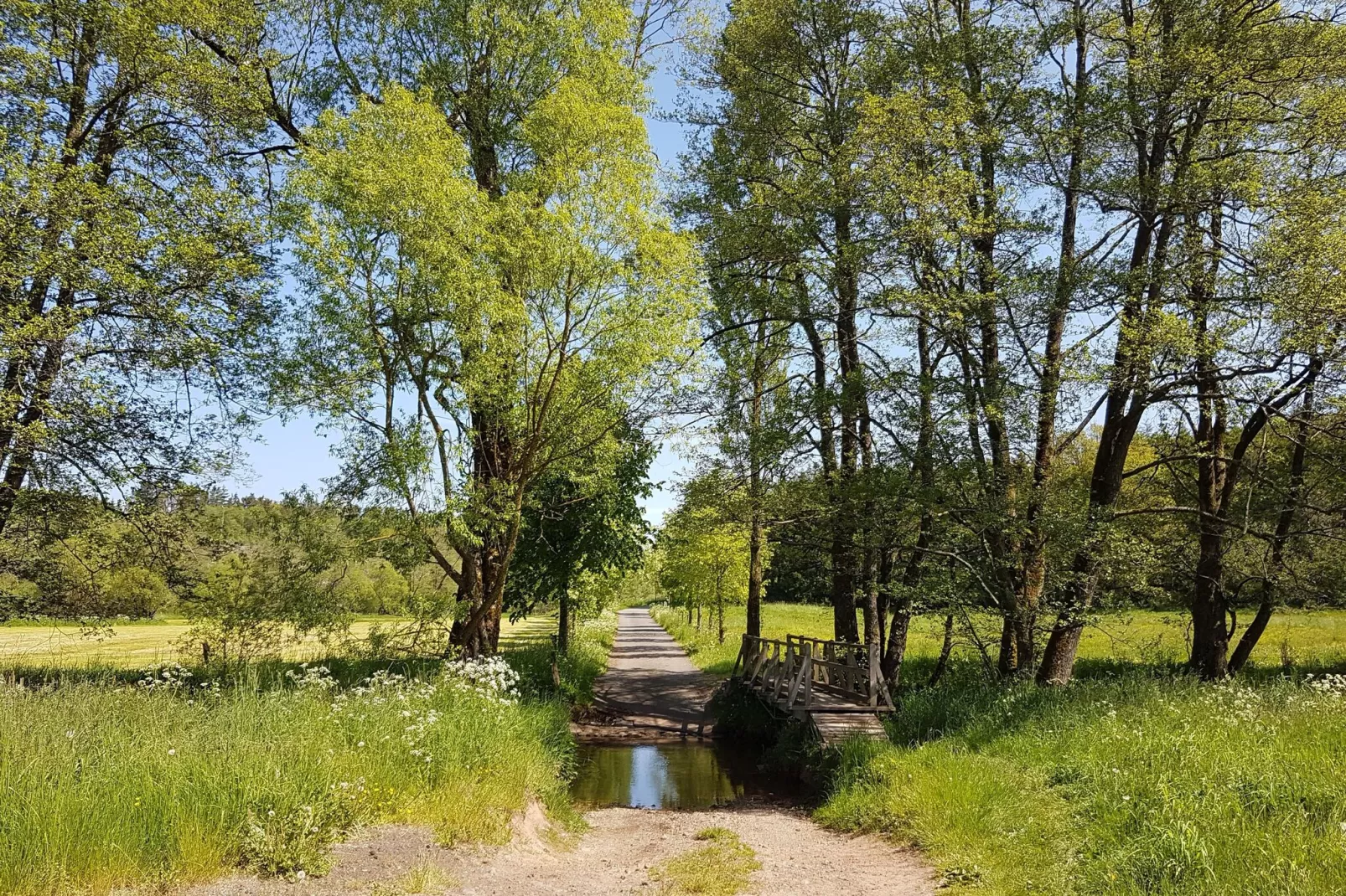 Ferienhaus Rühlen-Zones d'été à 5 km