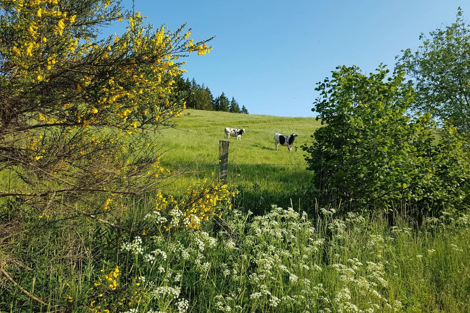 Ferienhaus Rühlen-Zones d'été à 5 km