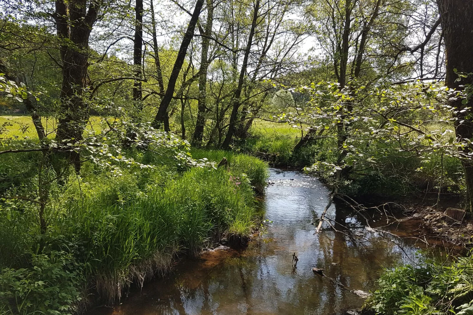 Ferienhaus Rühlen-Zones d'été à 5 km