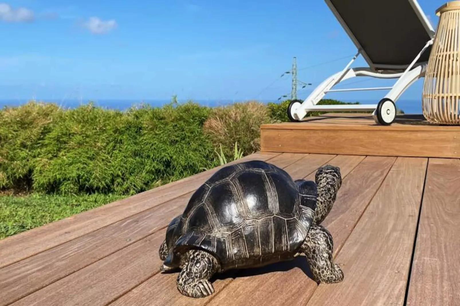 Villa Le Nid Des Colibris-Untagged