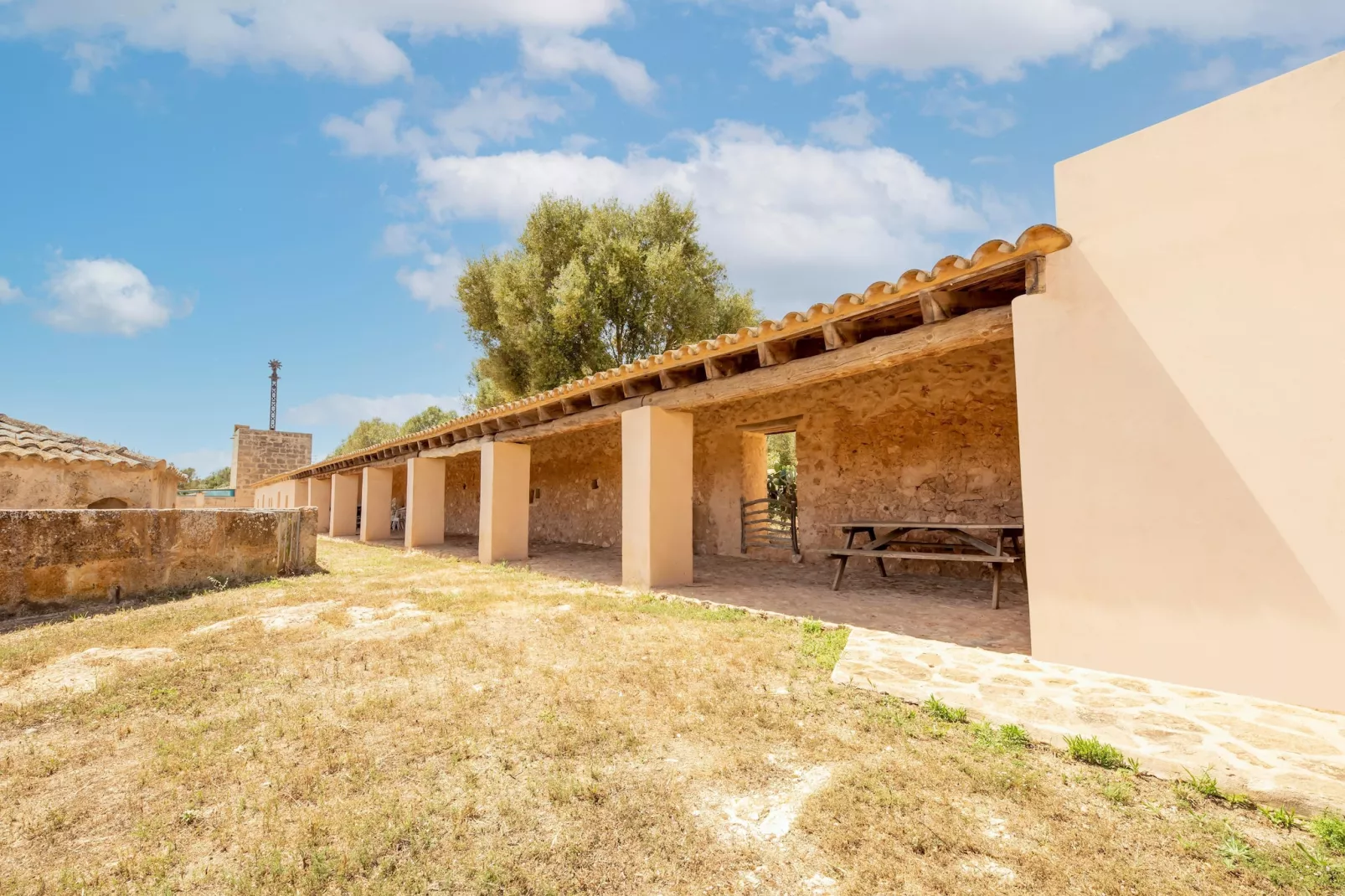 Gallinero-Exterior in summer
