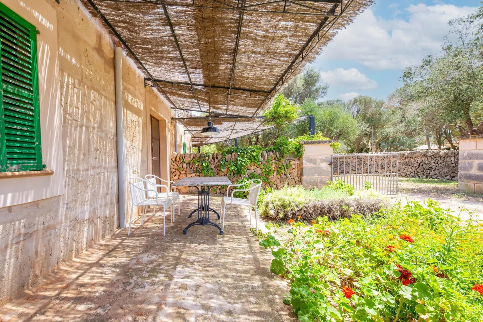 El Taller-Exterior in summer